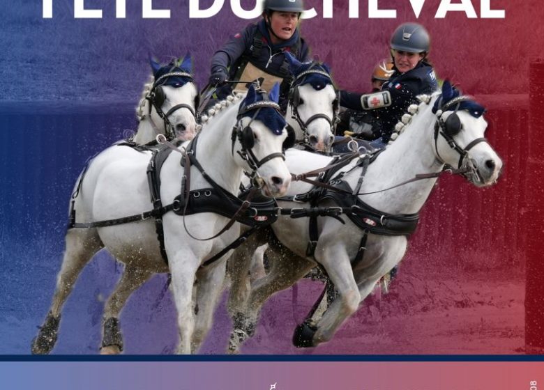 Fête du cheval