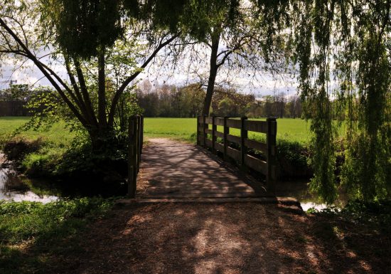 Prairie Saint Gildas