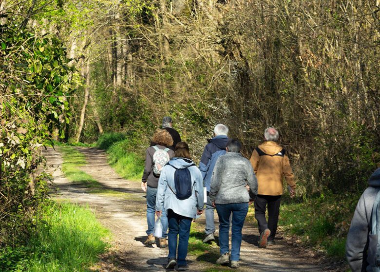 Lancement de la saison culturelle – Théâtre de la nature de Courçay