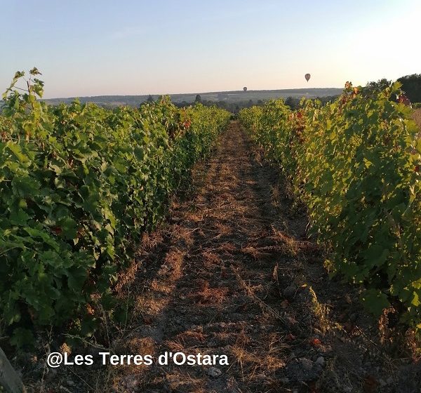 Les Terres d’Ostara