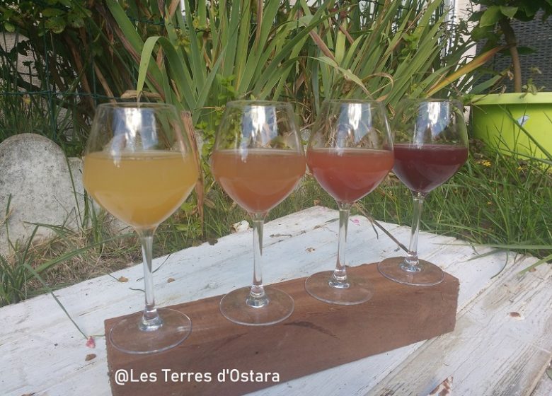 Les Terres d’Ostara