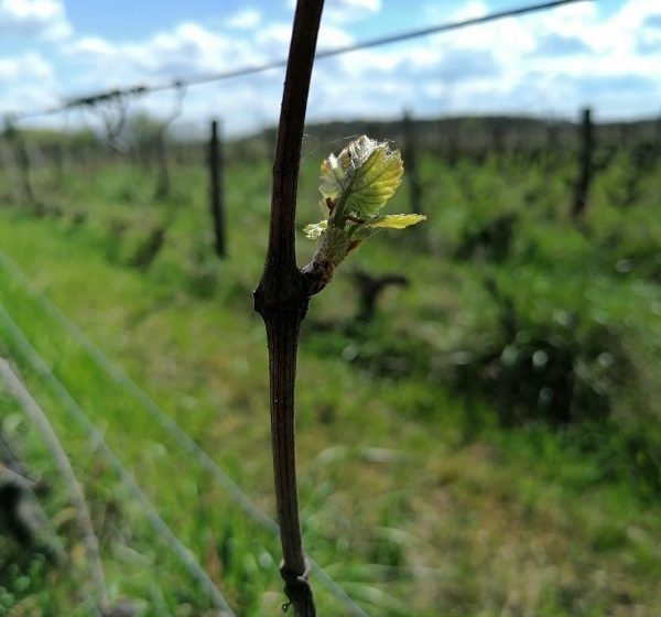 Les Terres d’Ostara