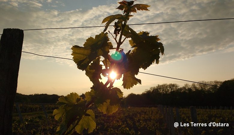 Les Terres d’Ostara