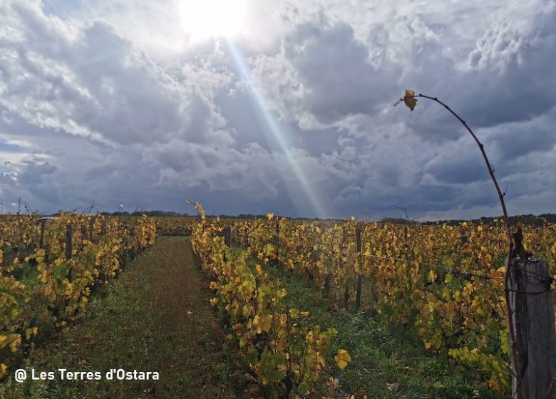 Les Terres d’Ostara