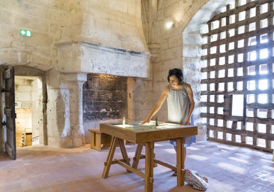 Cité royale de Loches