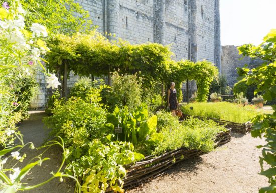 Cité royale de Loches