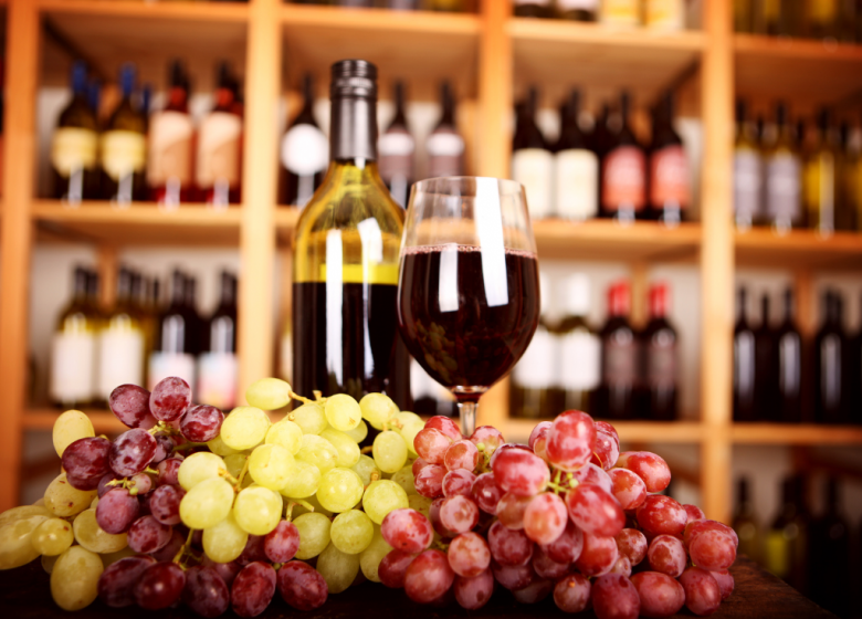 Vignoble VIN NU : visite guidée & dégustations
