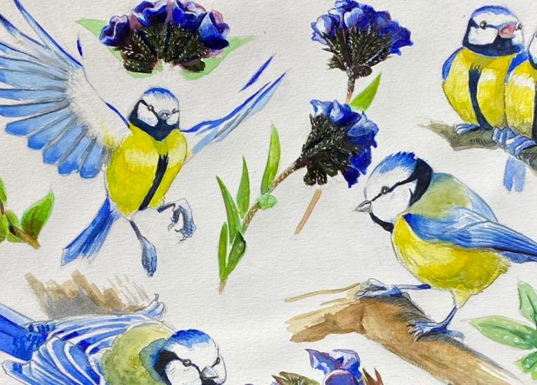 Dessin naturaliste en Brenne
