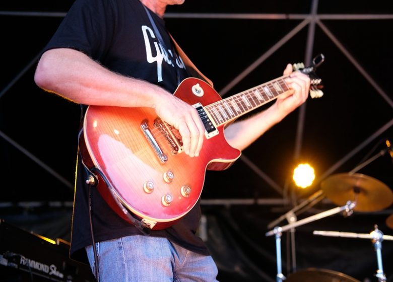 Les Pinkles en concert