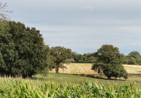 Gîte Traitsanes en Berry