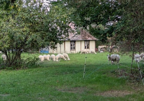 Ferme d&rsquo;Hélice Gîtes et camping Accueil Paysan