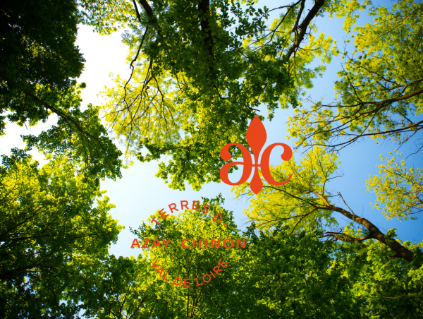 Des Géants parmi nous – Domaine de Candé