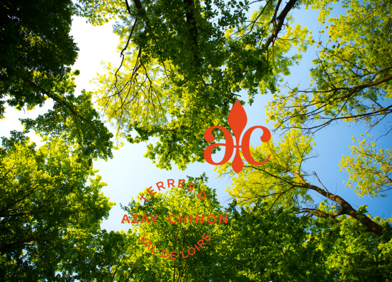 Des Géants parmi nous – Domaine de Candé