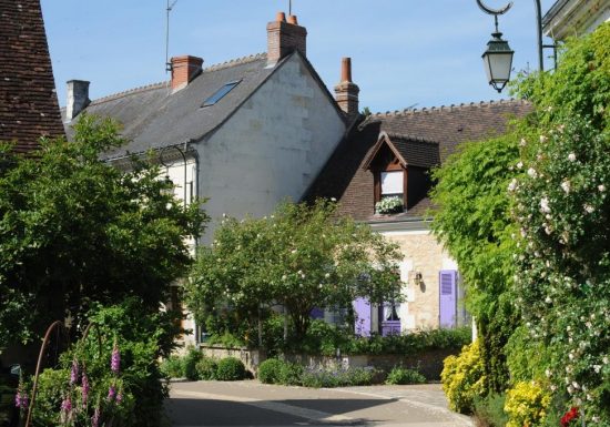 Chédigny village jardin « Jardin remarquable » et fleur d’or