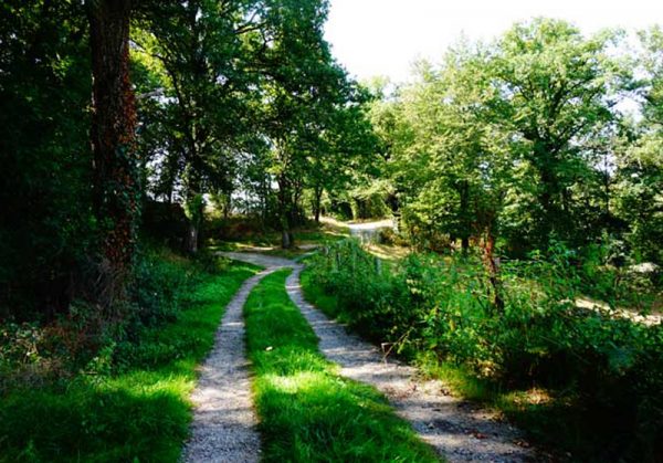 Téléthon : randonnée pédestre