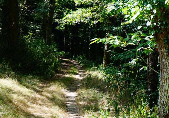 Circuit pédestre n°13 « Au fil de l’Indre »