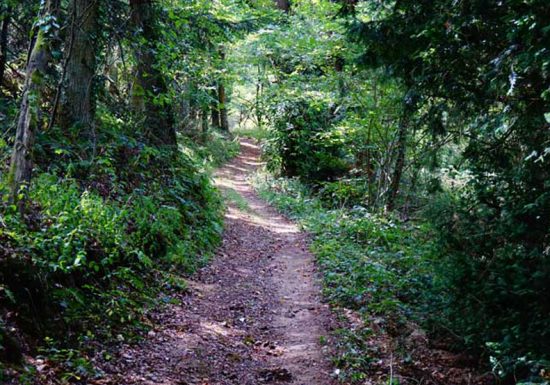 Circuit VTT n°5 : De plaines en fond de vallée