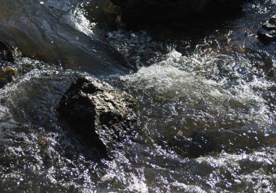 Circuit pédestre n°13 « Au fil de l’Indre »