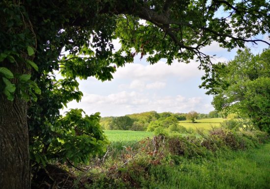Circuit pédestre n° 82 « Sentier des Moulins »