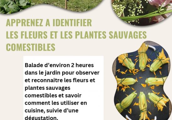 Un jardin à croquer