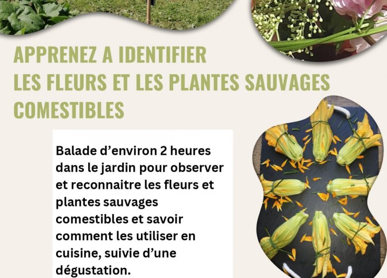 Un jardin à croquer