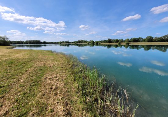 Plan d’eau de St-Genou