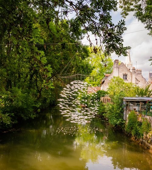Parcours de pêche Prairies du Roy