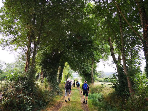 Randonnée pédestre