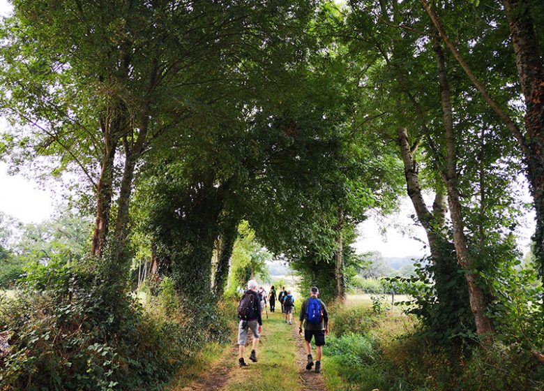 Randonnée pédestre