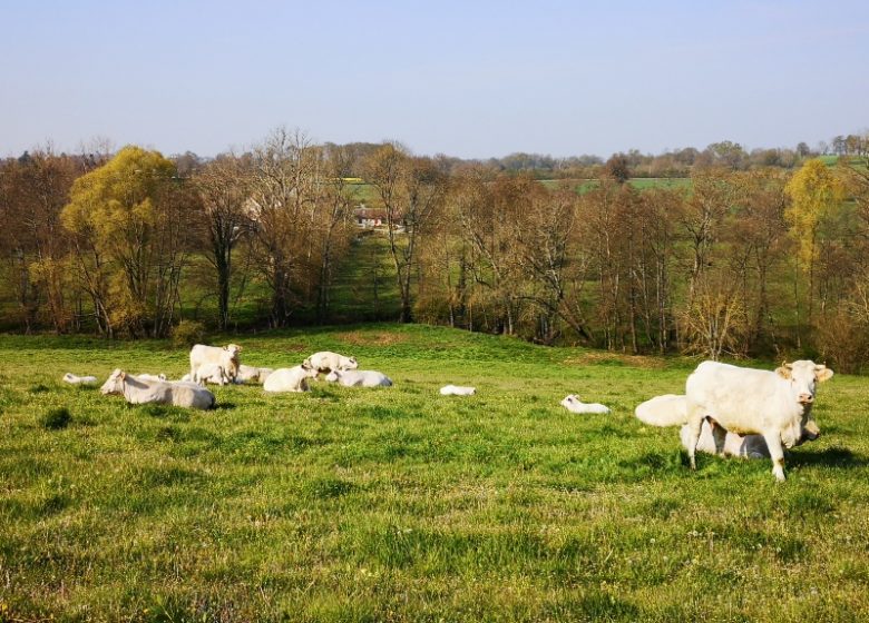 Circuit pédestre n°72 : Le bocage Sérézien