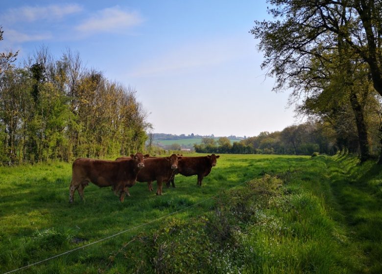Circuit pédestre n° 71 « Entre Vauvre et Couarde »
