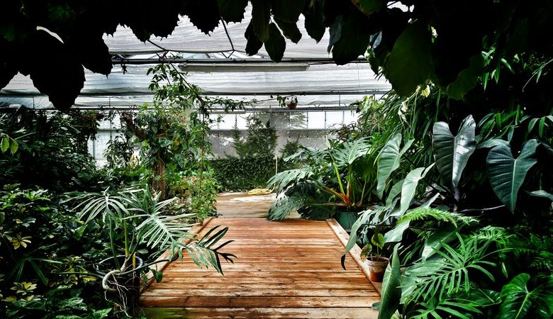 Évasion sous les tropiques