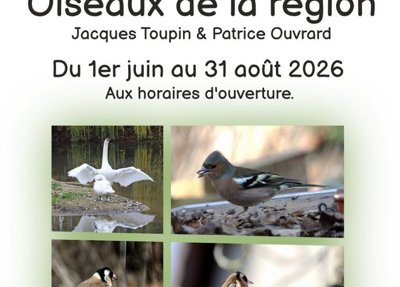 Exposition photographique « Oiseaux de la région »