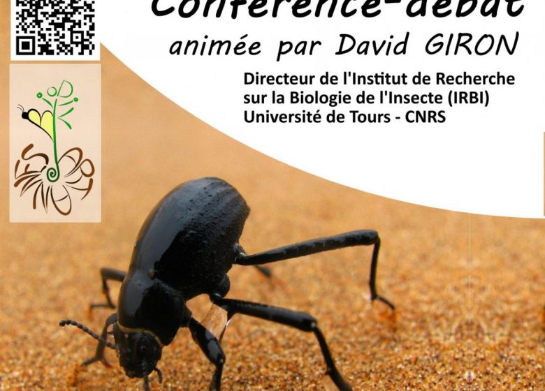 Conférence-débat « Les insectes, ces petits architectes du climat. »