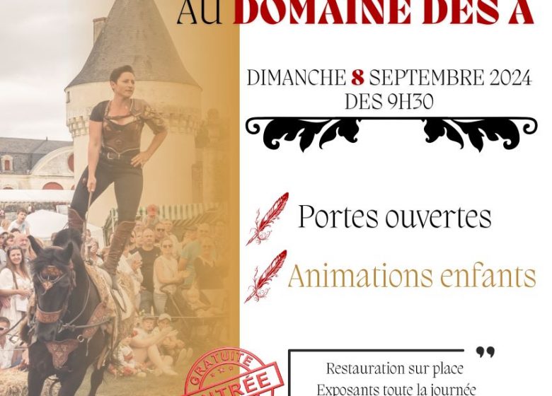 Spectacle équestre au Domaine des A