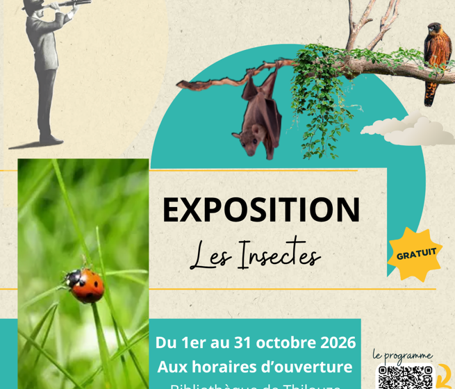 Exposition sur les insectes