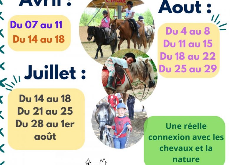 Stage d’équitation Touraine Cheval