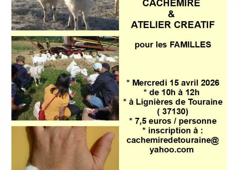 Visite pédagogique Cachemire