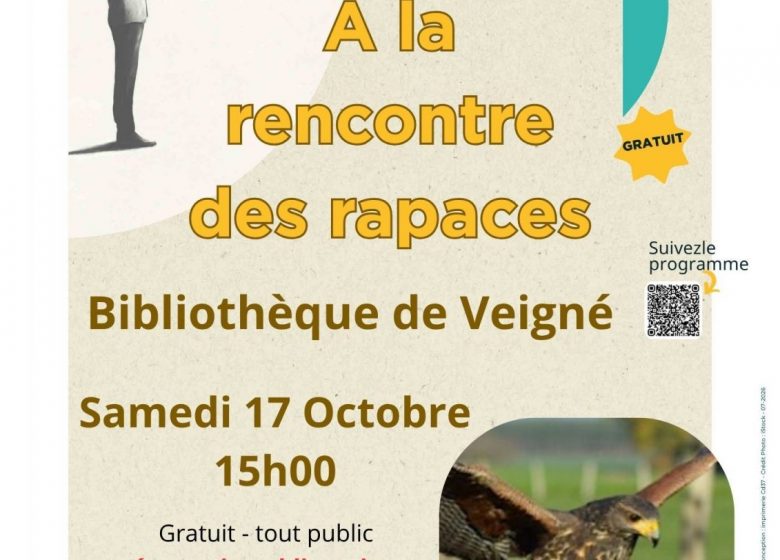 A la rencontre des rapaces