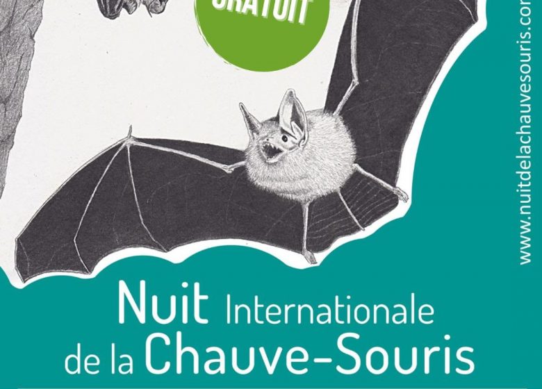 Nuit internationale de la Chauve-Souris