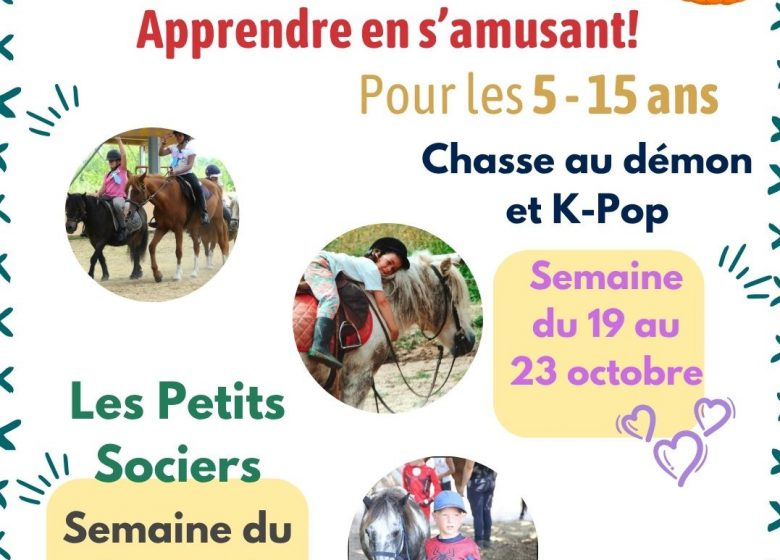 Vacances de la Toussaint – Stages enfants Touraine Cheval