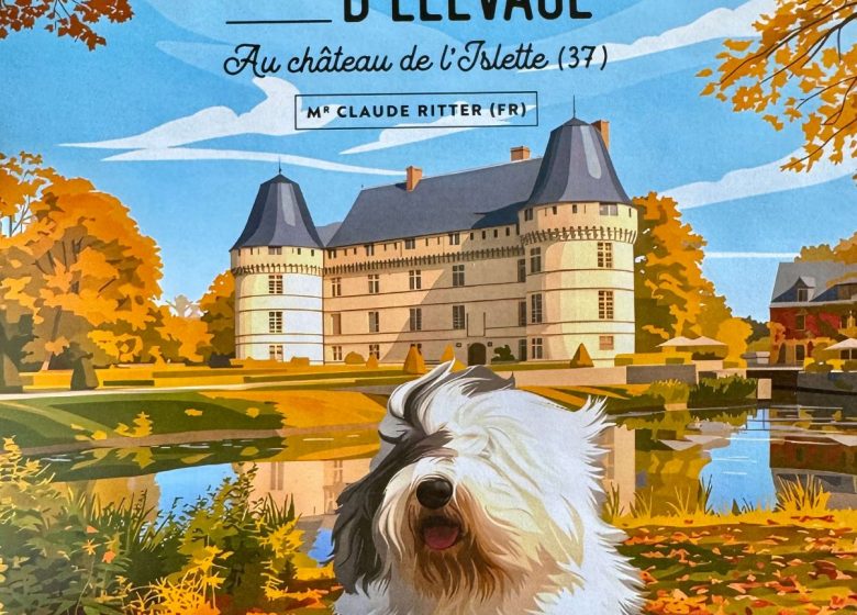 Nationale d’Élevage du Bobtail Club de France