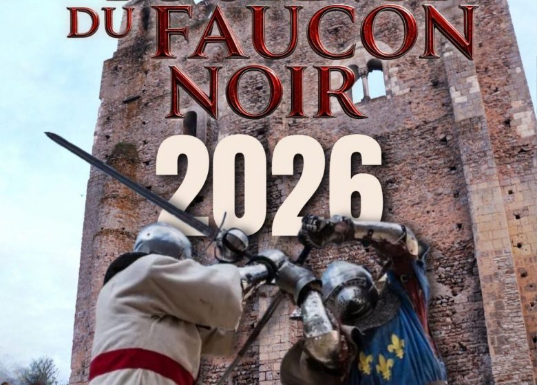 Tournoi du Faucon Noir