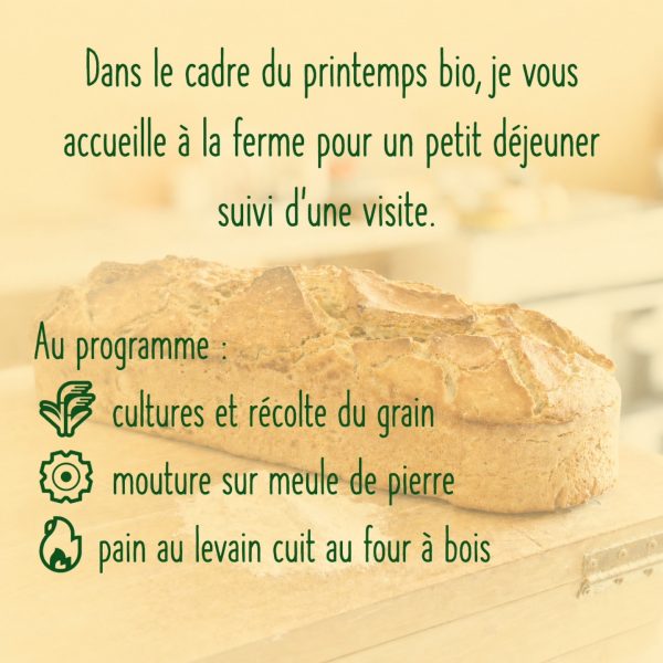 Petit déjeuner, dégustation et visite de ferme d&rsquo;un paysan boulanger