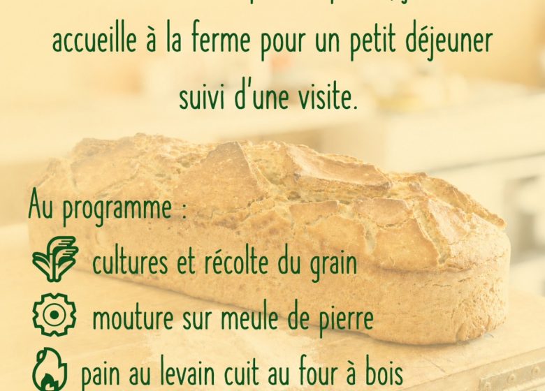 Petit déjeuner, dégustation et visite de ferme d&rsquo;un paysan boulanger
