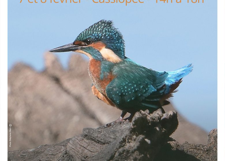 Rencontres photographiques