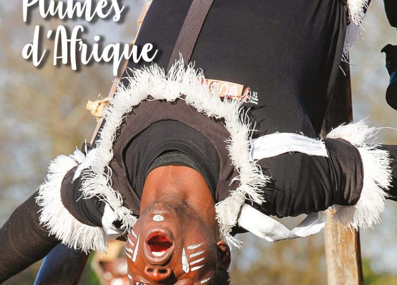 Festival Plumes d’Afrique