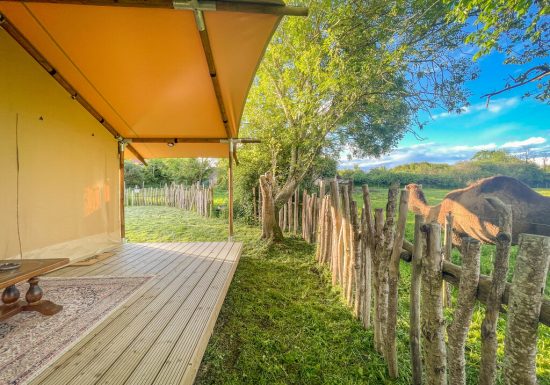 La tente Berbère du Parc animalier des Clautres