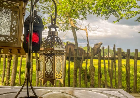 La tente Berbère du Parc animalier des Clautres