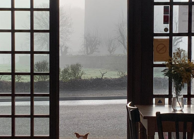 Bar – restaurant du Château de Sarzay